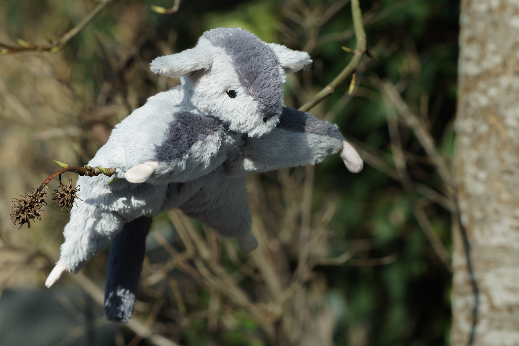 knuffel van een grijze suikereekhoorn met geborduurde ogen